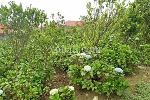 825m2 Land in Tabanan, Bali (14004) 8