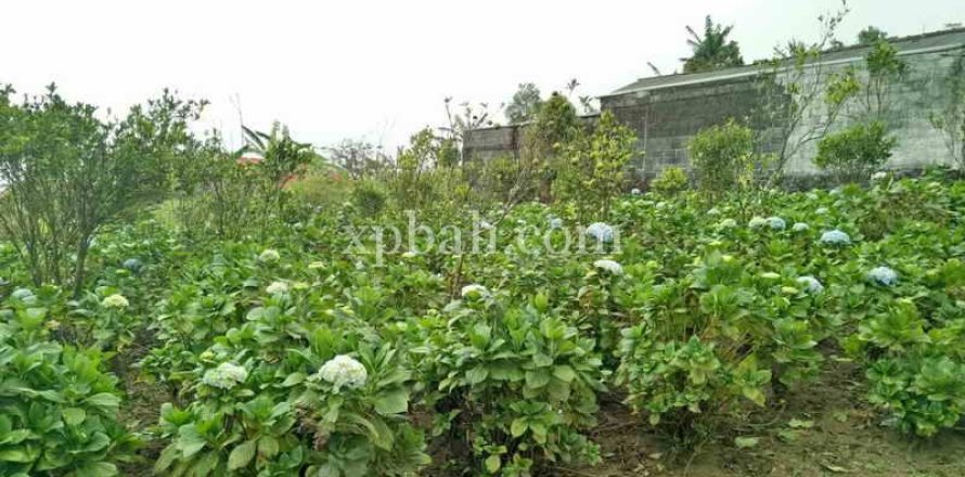 825m2 Land in Tabanan, Bali (14004)