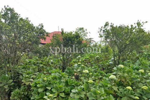 825m2 Land in Tabanan, Bali (14004) 7