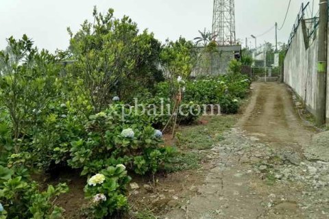 825m2 Land in Tabanan, Bali (14004) 6
