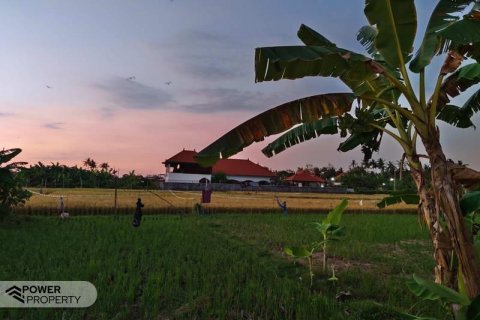 Вилла с 3 спальнями в Ловина, Антуран, Булеленг,  (9271) 1