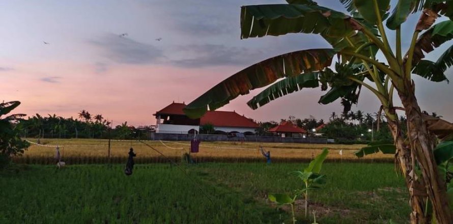 Вилла с 3 спальнями в Ловина, Антуран, Булеленг,  (9271)