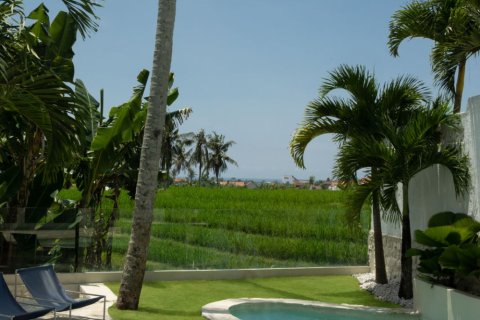 6 bedrooms Villa in Munggu, Mengwi, Badung, Bali (15809) 7
