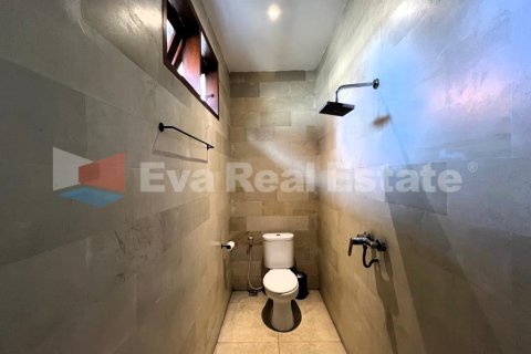 2 bedrooms Villa in Kerobokan, Badung, Bali (4869) 13