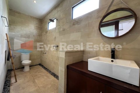 2 bedrooms Villa in Kerobokan, Badung, Bali (4869) 18
