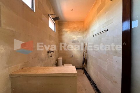 2 bedrooms Villa in Kerobokan, Badung, Bali (4869) 24