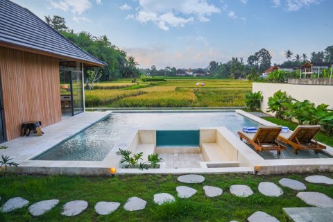 2 bedrooms Villa in Ubud, Gianyar, Bali (14286) 7