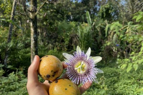 9400m2 Land in Lovina, Anturan, Buleleng, (9869) 3