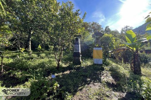 9400m2 Land in Lovina, Anturan, Buleleng, (9869) 5
