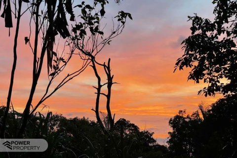 9400m2 Land in Lovina, Anturan, Buleleng, (9869) 12