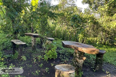 9400m2 Land in Lovina, Anturan, Buleleng, (9869) 8