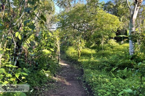 9400m2 Land in Lovina, Anturan, Buleleng, (9869) 9