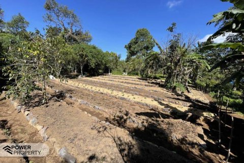 9400m2 Land in Lovina, Anturan, Buleleng, (9869) 16