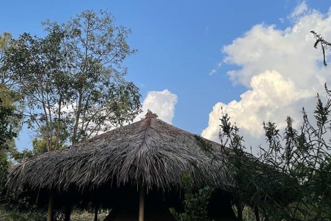 9400m2 Land in Lovina, Anturan, Buleleng, (9869) 17