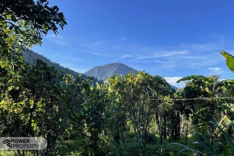 9400m2 Land in Lovina, Anturan, Buleleng, (9869) 1