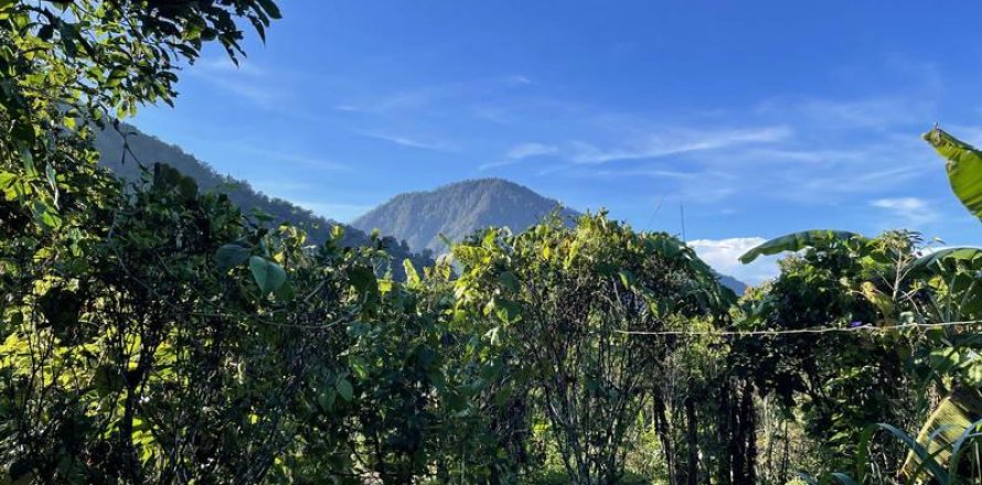 9400m2 Land in Lovina, Anturan, Buleleng, (9869)