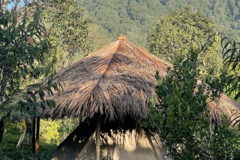 9400m2 Land in Lovina, Anturan, Buleleng, (9869) 2