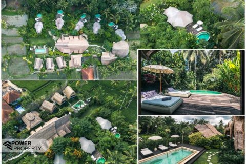 8 bedrooms Hotel in Ubud, Gianyar,  (9203) 3