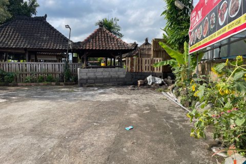 Land in Munggu, Mengwi, Badung, Bali (12172)