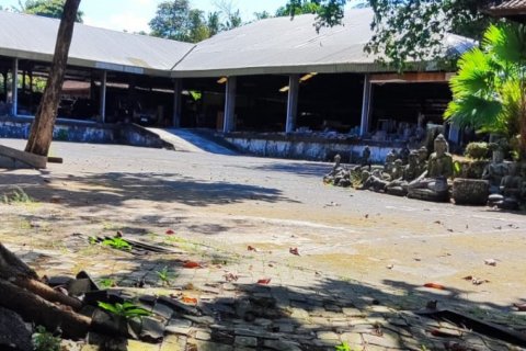 5000m2 Land in Mengwi, Badung, Bali (12173) 4