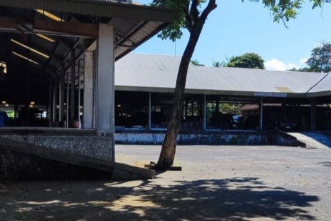 5000m2 Land in Mengwi, Badung, Bali (12173) 3