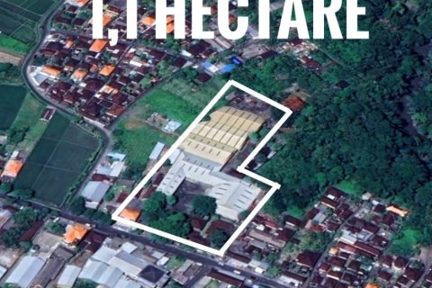 5000m2 Land in Mengwi, Badung, Bali (12173)