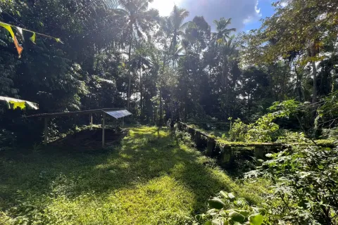 Land in Tegallalang, Gianyar, Bali (11703)