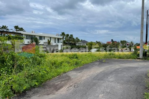 1000m2 Land in Tibubeneng, Badung, Bali (2395) 5