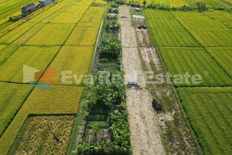 360m2 Land in Cemagi, Mengwi, Badung, Bali (2397) 6