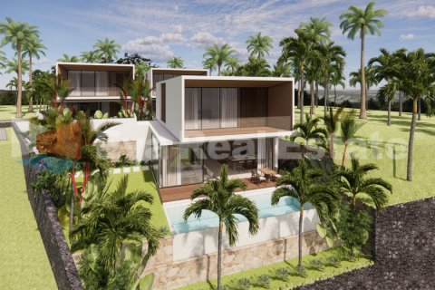 3 bedrooms Villa in Tumbak Bayuh, Mengwi, Badung, Bali (2399)