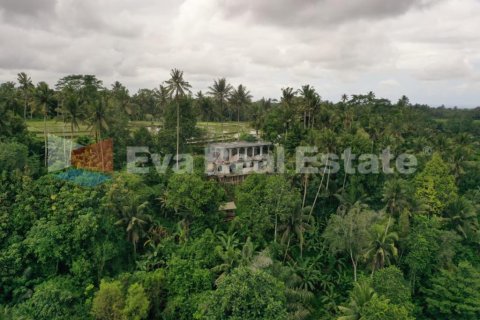 2 bedrooms Villa in Ubud, Gianyar, Bali (2398) 6