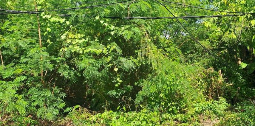 Земельный участок 500м2 в Семиньяк, Бадунг,  (9841)