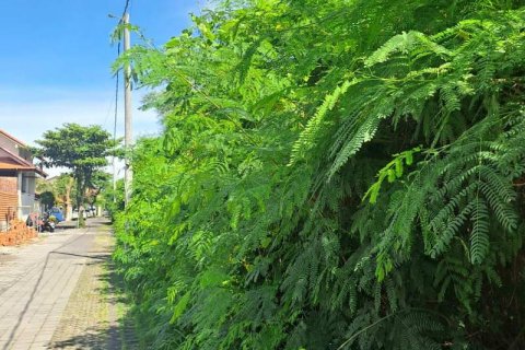 Земельный участок 500м2 в Семиньяк, Бадунг,  (9841) 7