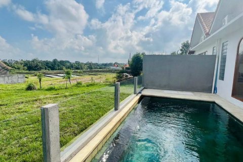 Вилла с 2 спальнями в Цемаги, Менгви, Бадунг,  (9846) 19