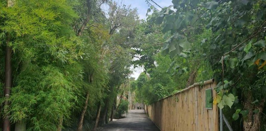 Земельный участок 1080м2 в Чангу, Бадунг, (9842)