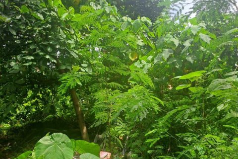 Земельный участок 1080м2 в Чангу, Бадунг, (9842) 4