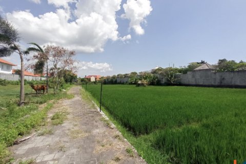 Land in Seminyak, Badung, Bali (12252) 5
