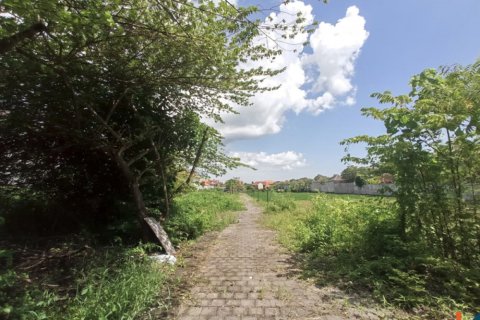 Land in Seminyak, Badung, Bali (12252) 12