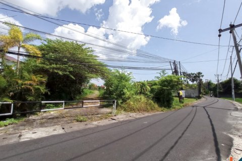 Land in Seminyak, Badung, Bali (12252) 4