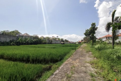Land in Seminyak, Badung, Bali (12252) 7