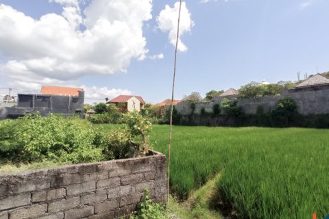 Land in Seminyak, Badung, Bali (12252) 10