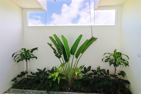 Вилла с 3 спальнями в Чангу, Бадунг,  (3997) 1