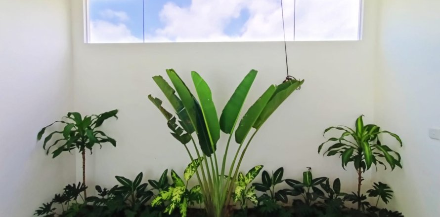 Вилла с 3 спальнями в Чангу, Бадунг,  (3997)