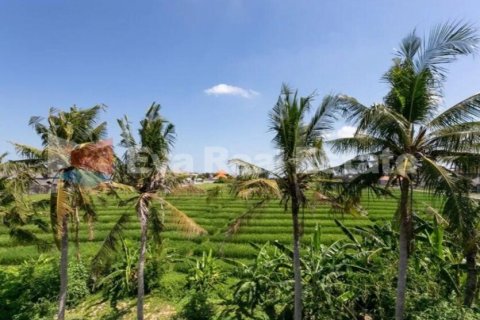 4 bedrooms Villa in Tibubeneng, Badung, Bali (2544) 10