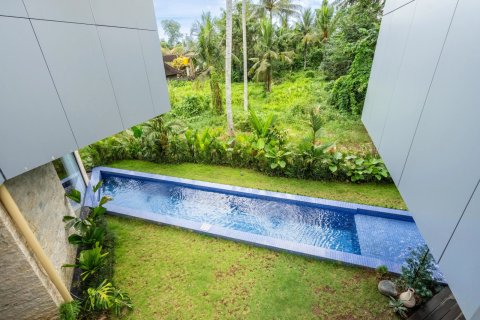 2 bedrooms Villa in Ubud, Gianyar, Bali (14226) 6