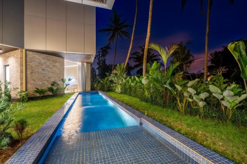 2 bedrooms Villa in Ubud, Gianyar, Bali (14226) 14