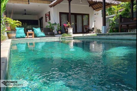 2 bedrooms Villa in Seminyak, Badung, Bali (17211)