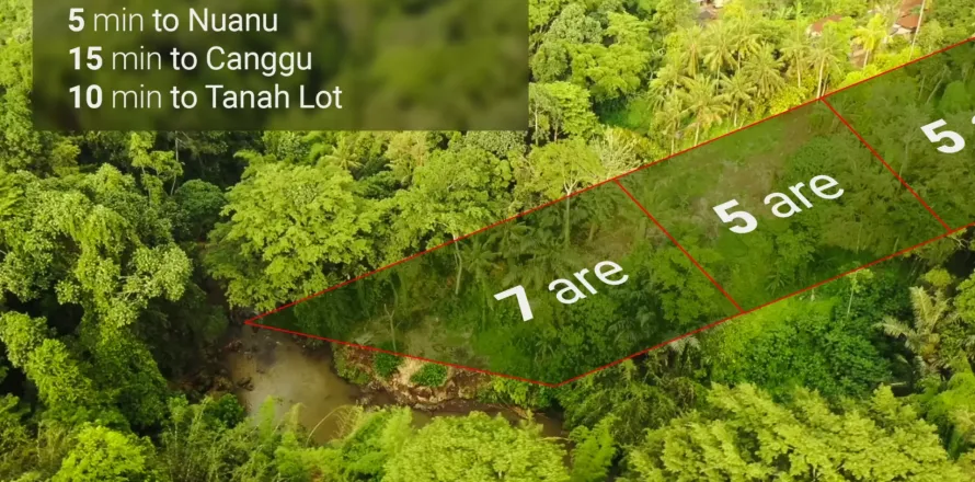 Land in Tabanan, Bali (14028)