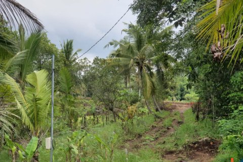 Land in Kaba-Kaba, Kediri, Tabanan, Bali (14036) 3