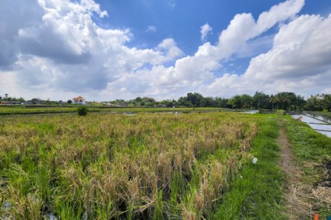 Land in Kediri, Tabanan, Bali (14034) 5